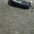 IMG_0111.JPG